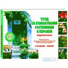Уход за комнатными растениями в Израиле